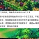 梦幻西游赐福锁定两技能