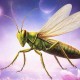 梦幻西游蝗虫排行榜最新
