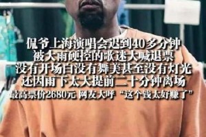 演唱会现场对比米其林白粥，口感与氛围的极端碰撞，电音轰鸣VS米其林白粥，一场感官的冰火交响