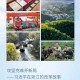 解码文明基因库，总书记擘画的中华文明传承新图景，解码中华文明基因库，擘画总书记擘画的传承新图景
