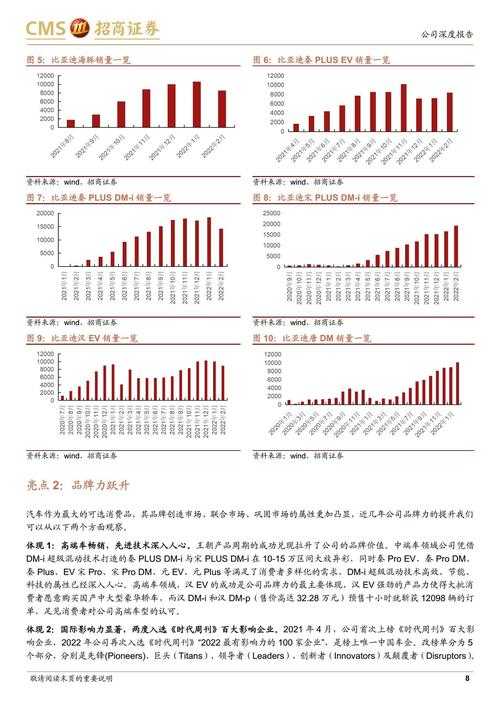 (分析报告)