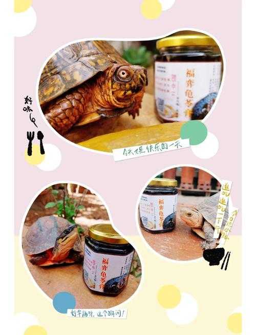 龟苓膏无活龟2025新规真相