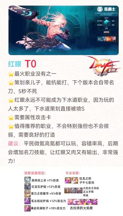 以下是对《DNF》召唤师与气功师职业对比报告的深度分析及优化建议：