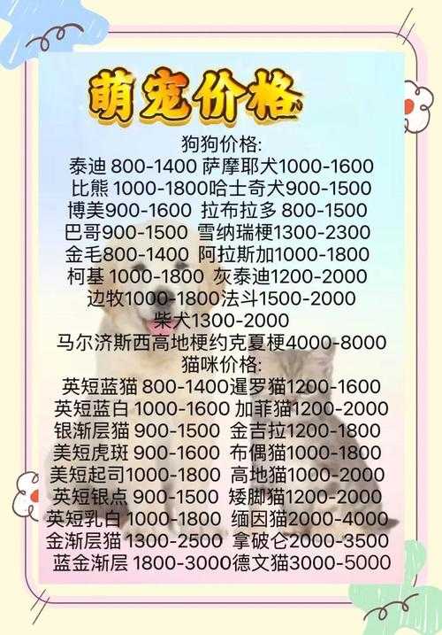 宠物市场中的百元价位宠物选择如何？有哪些需要注意的事项？