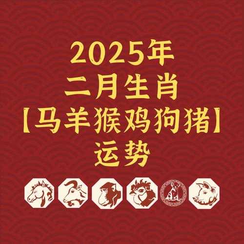 2025符影实战数据全解析