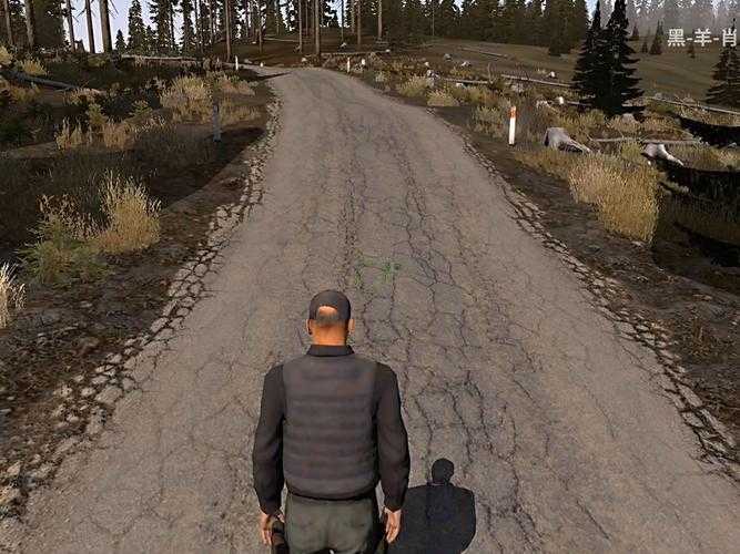 《武装突袭2:DayZ》2025现象级:1.2亿玩家创3.7亿营收