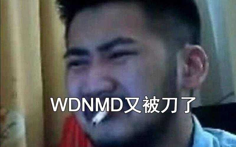 CSGO茄子表情包生态观察:现状挑战未来