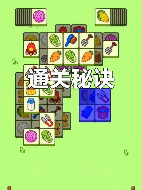 如何轻松完成100个任务第9关攻略？有效技巧大揭秘