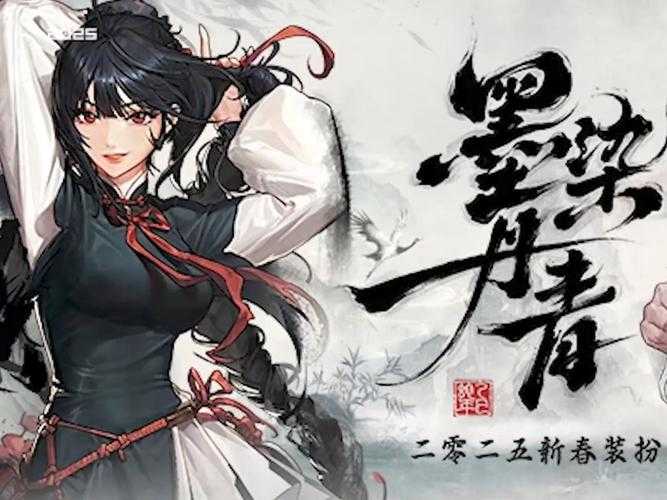 以下是对DNF单机版2025年优化方案的专业解读与执行建议：