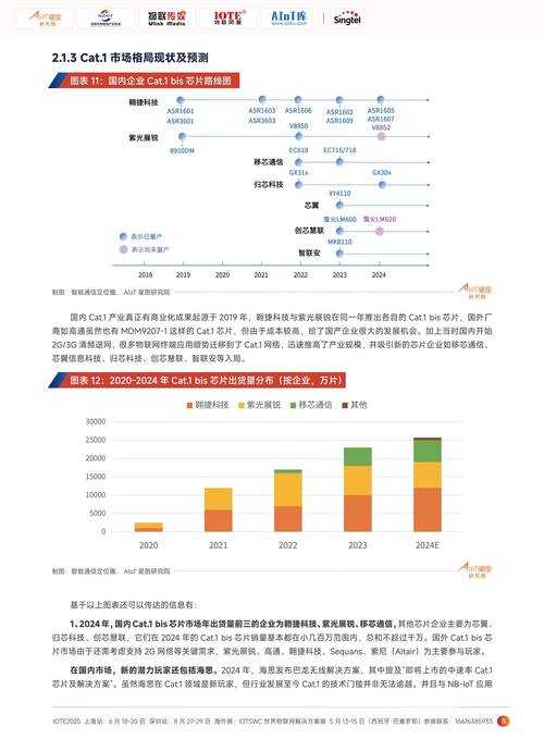 根据提供的《2025年手游礼包市场白皮书》及《2025年玩家行为研究报告》核心数据，结合游戏运营现状，现进行系统性分析并提出策略建议：