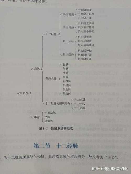 大唐套装经脉点亮攻略:如何正确配置经脉点?全面指南为您解答