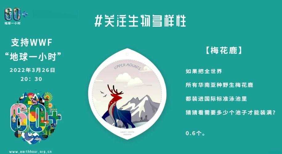 《deer98梅花鹿》虚拟进化为文化符号