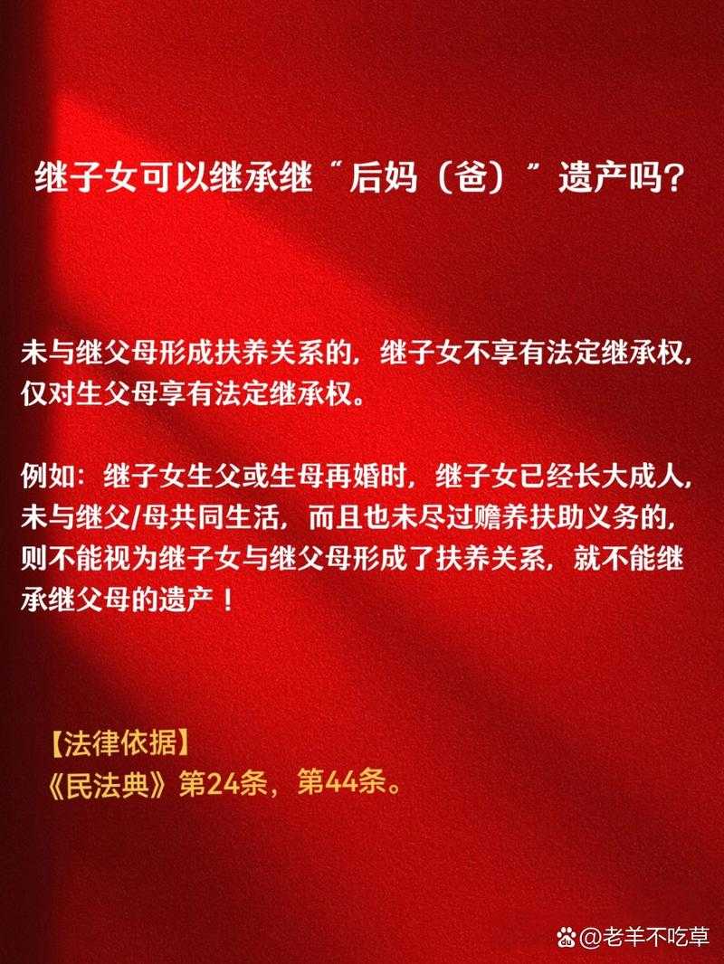 继母与继子的伦理纠葛:家庭关系探讨