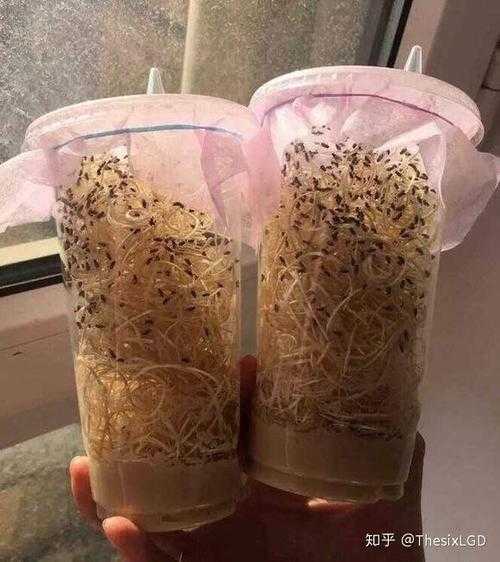 市监部门深夜通报,奈雪的茶惊现活体蛙类生物 消费者维权进入关键48小时