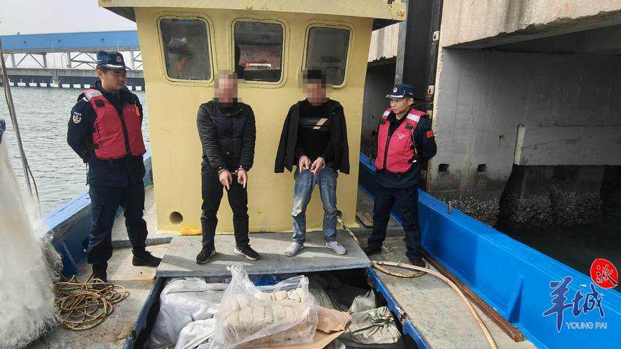 惊雷炸响南海之滨，海南双料秘书长倪强落马背后的反腐密码