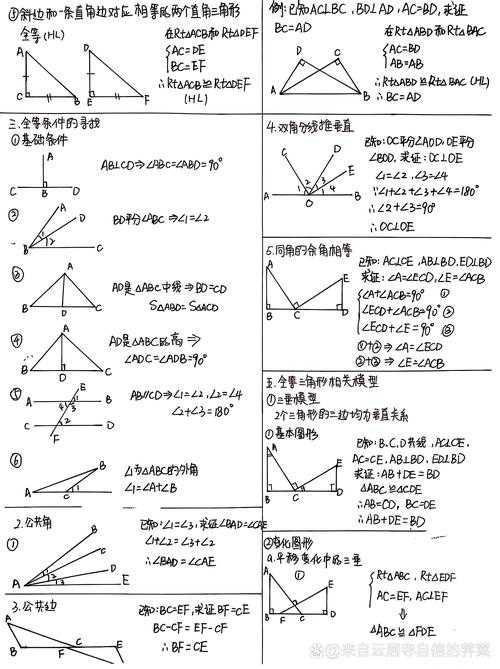 数学卷上绽放的玫瑰,一个估分失误背后的538分奇迹