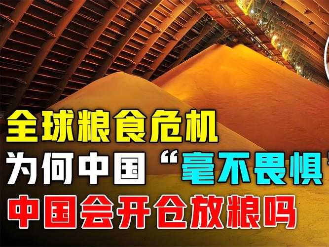血色田埂上的生死博弈,全球粮食安全时代守护18亿亩生命线