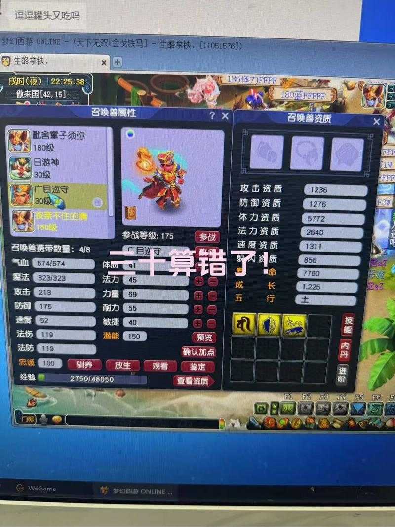 梦幻西游老王三组视频在线观看