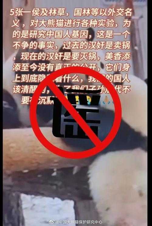 2人造谣科研人员虐待大熊猫获刑,真相与谣言的生死博弈,法律利剑斩谣害 真相守护大熊猫