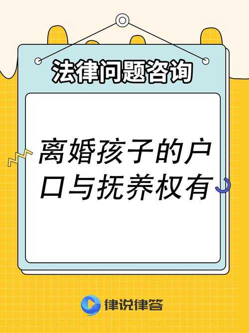 法律权益保障与喂养权的边界，法律权益保障与喂养权的边界，冲突与平衡