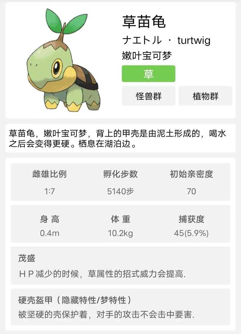 梦幻西游草龟图片大全大图