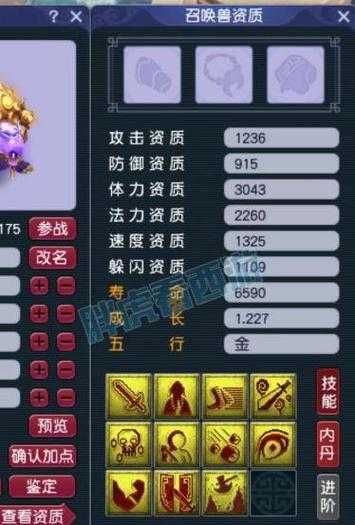 梦幻西游菠萝人物介绍