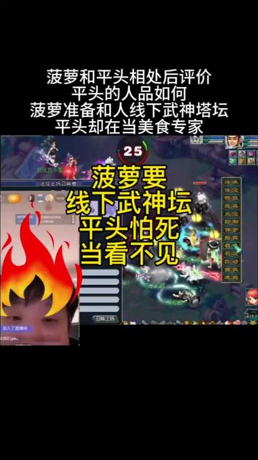 梦幻西游菠萝角色定位