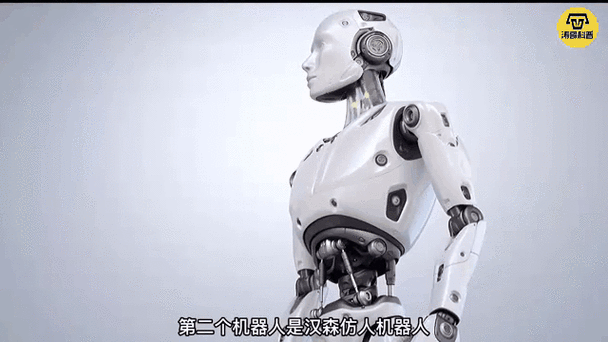 全球首位机器人格斗冠军的诞生，改写人类与机器博弈的历史