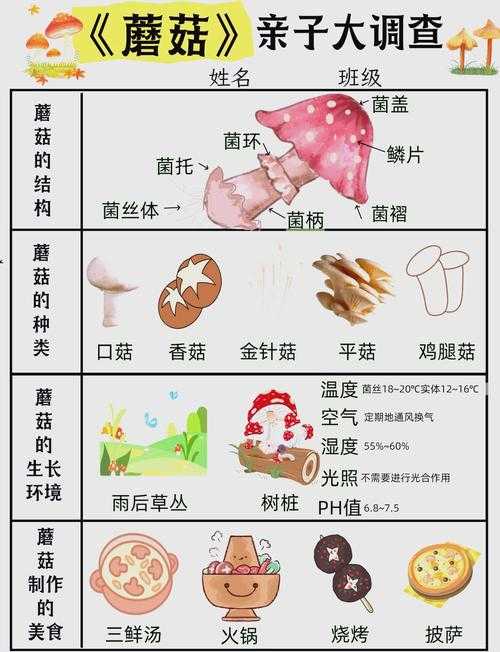 梦幻西游蘑菇玩法