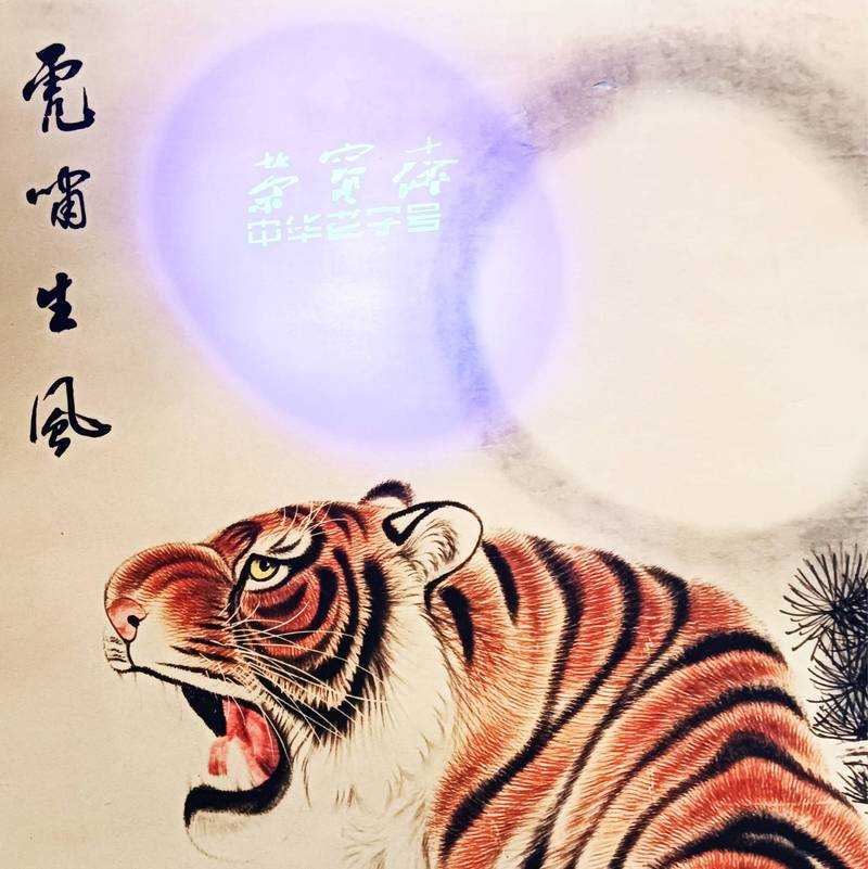 梦幻西游虎啸生风值