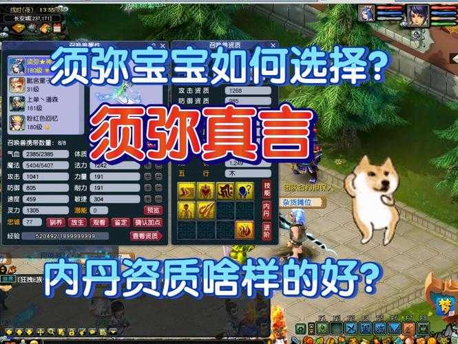 梦幻西游虚弥宝宝过时了吗