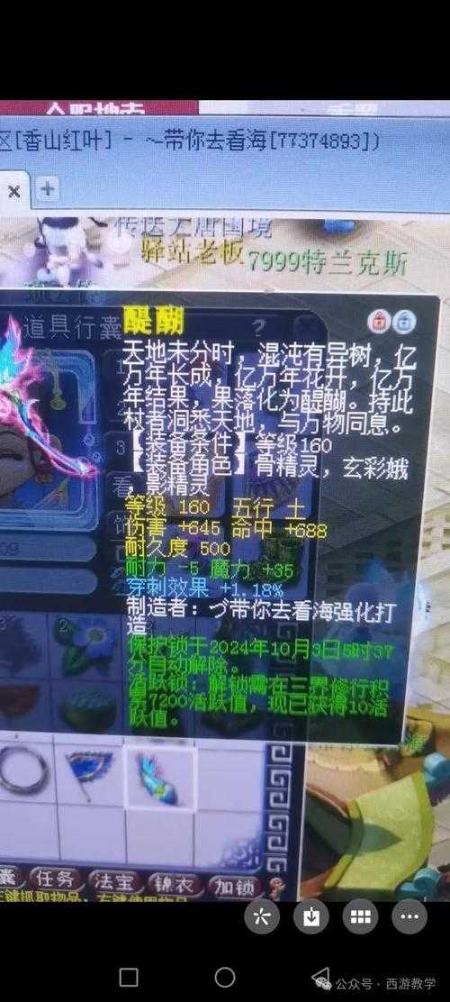 梦幻西游虫虫天地视频解说