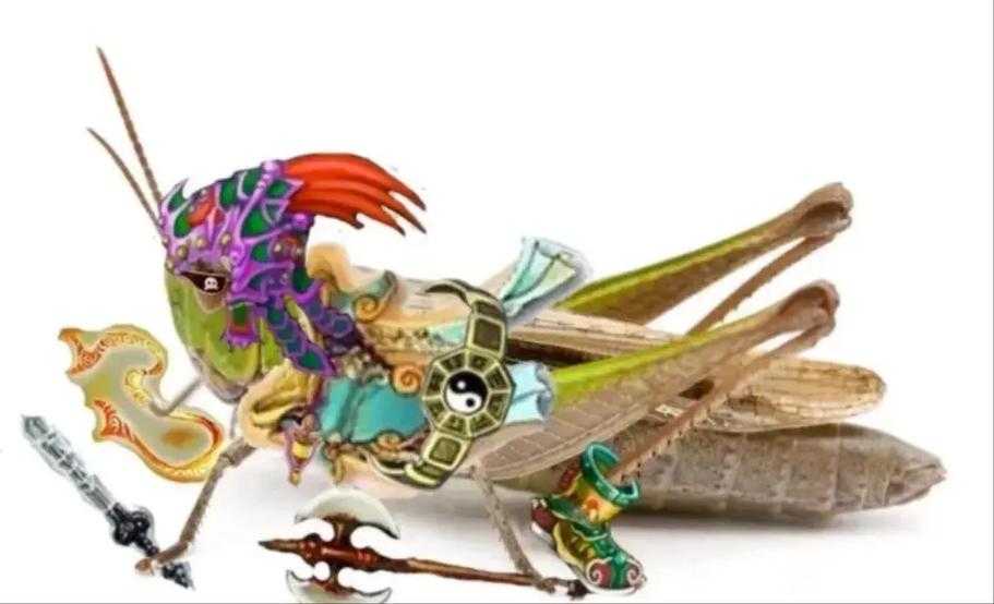 梦幻西游蝗虫五开装备