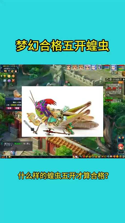 梦幻西游蝗虫宝宝进阶,进阶,资质 蝗虫