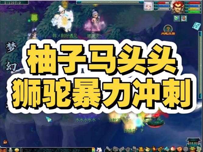 梦幻西游西游柚子长啥样