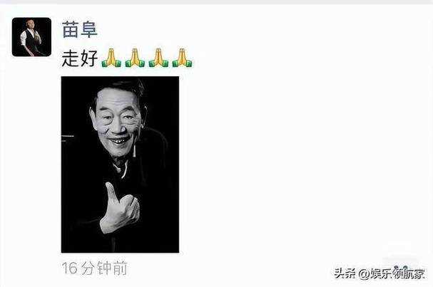 1.背景回顾,杨少华的职业生涯与逝世