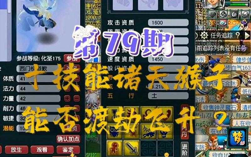梦幻西游诸天合宠技巧 技能 资质,诸天