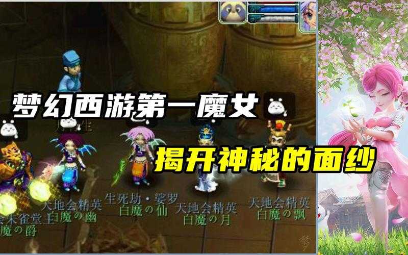 梦幻西游谁带着面纱