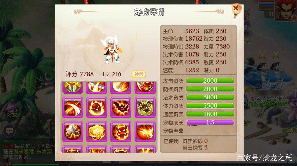 梦幻西游豹子选择 选择,高级,豹子
