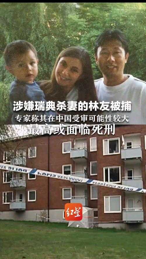 事件回顾,暴力引发严重后果的警示案例