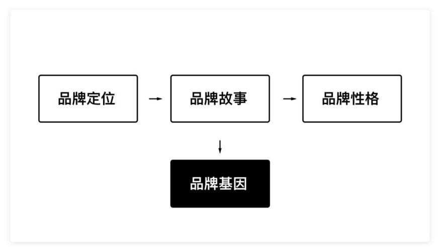 品牌基因差异