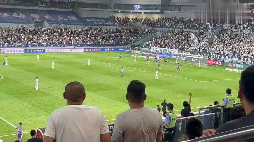 事件回顾,韦世豪球迷冲突引爆舆论场