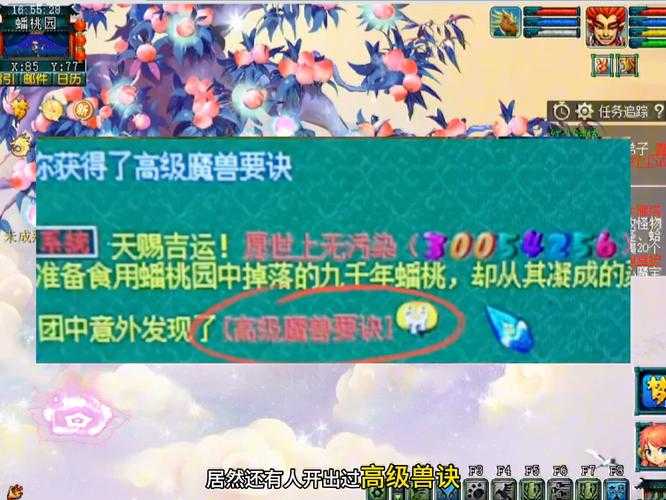 梦幻西游跟宠在哪里使用，在哪里 系统，隐藏