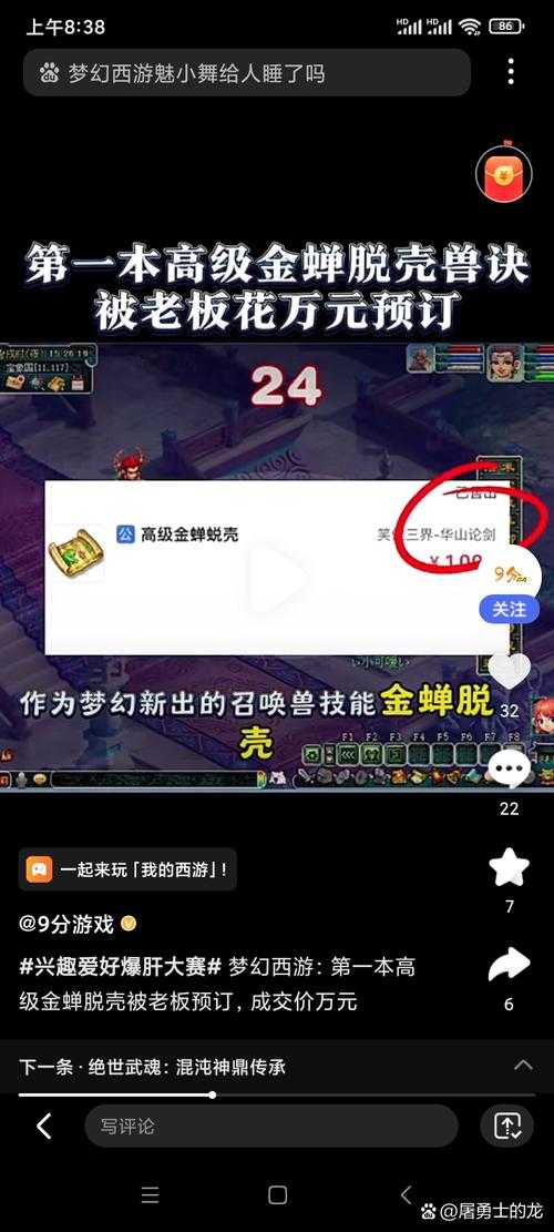 梦幻西游踏涛不显示在面板
