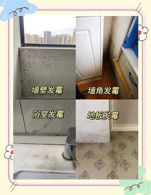 150平地下室装修发霉全攻略,如何彻底告别霉斑和异味?