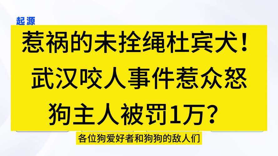 事件回顾,未拴绳的杜宾犬引发社区冲突